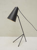 Portabello Table Lamp with Background