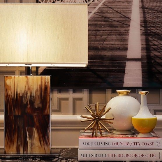 Horn Rectangular Lamp with books and orniments