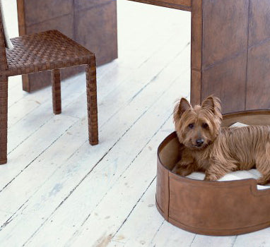 Havana Leather Dog bed with dog