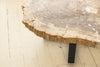 Detail of petrified coffee table