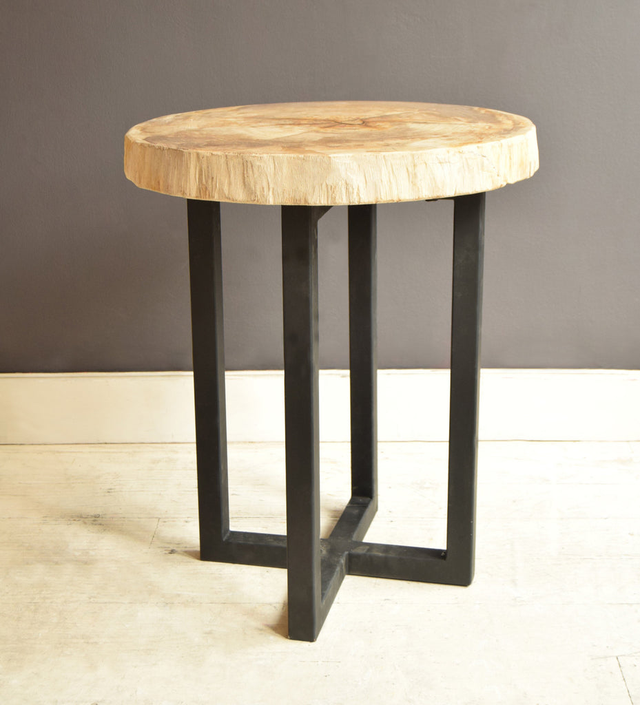 Petrified wood coffee table in tall